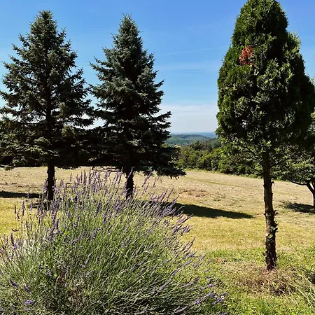 Pensionat Hubertus Vadaszhaz *